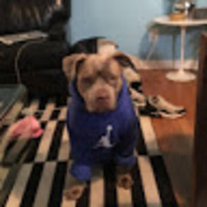 Meet your Posher, Ella